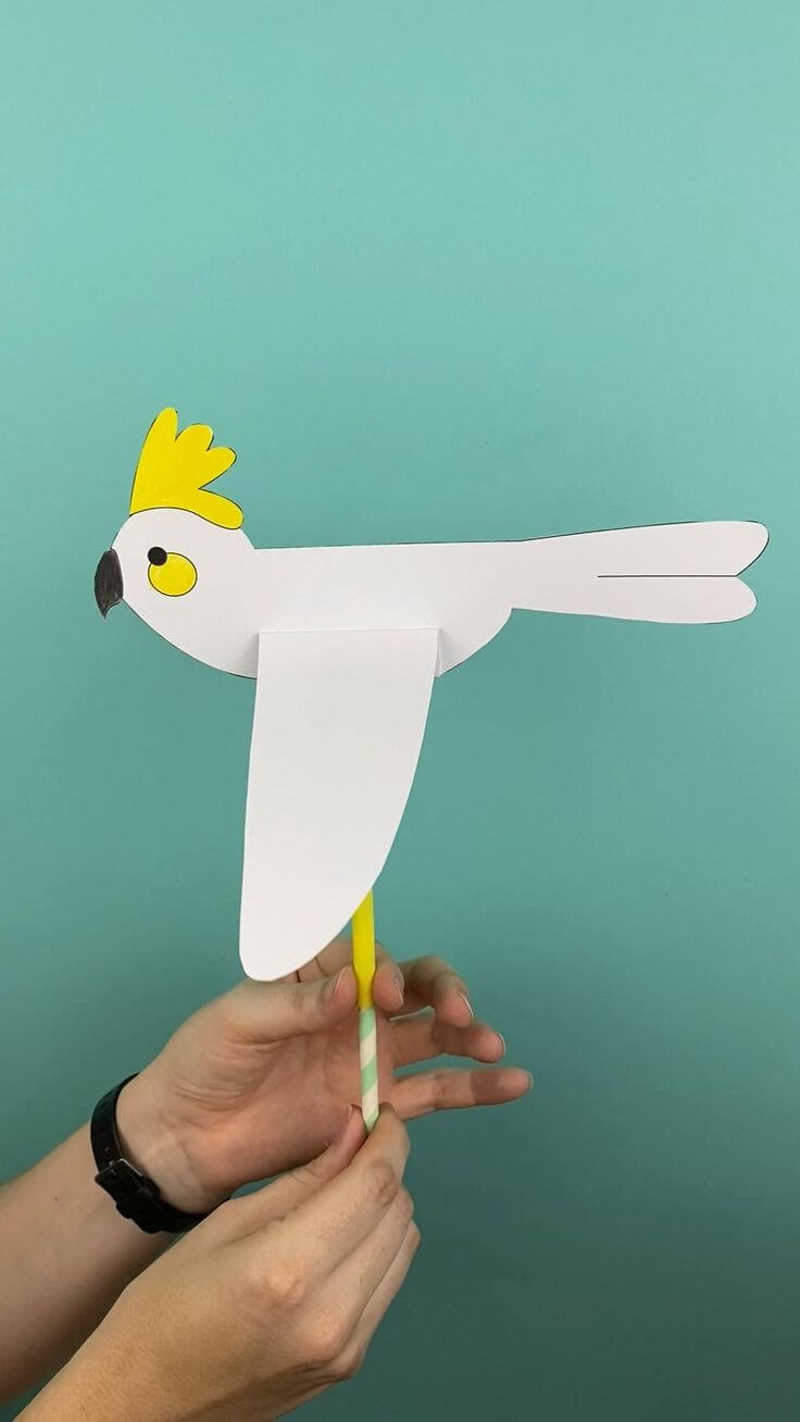 Création Oiseaux
